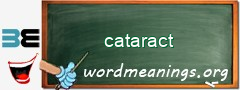 WordMeaning blackboard for cataract